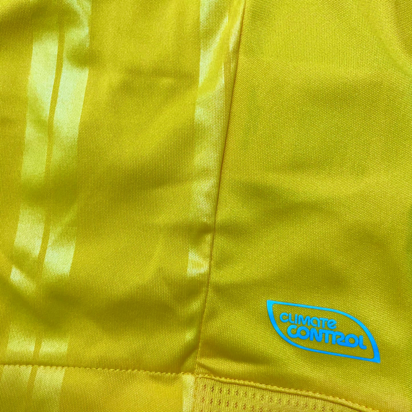 2009 Sweden home shirt #10 Ibrahimovic (L)